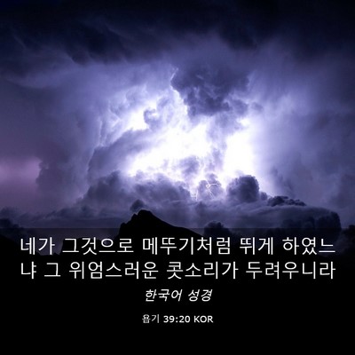 Picture 03 - 욥기 39:20 KOR - 네가 그것으로 메뚜기처럼 뛰게 - Bible Verse Picture