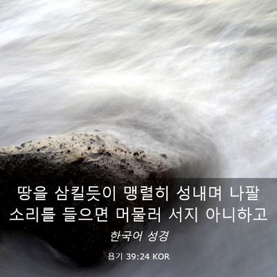 Picture 03 - 욥기 39:24 KOR - 땅을 삼킬듯이 맹렬히 성내며 나팔 - Bible Verse Picture