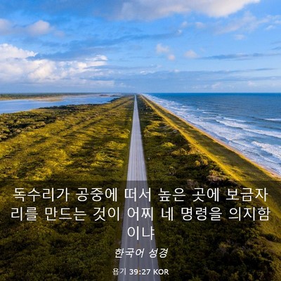 Picture 03 - 욥기 39:27 KOR - 독수리가 공중에 떠서 높은 곳에 - Bible Verse Picture