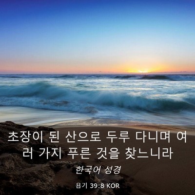Picture 03 - 욥기 39:8 KOR - 초장이 된 산으로 두루 다니며 여러 - Bible Verse Picture