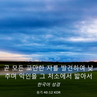 Picture 03 - 욥기 40:12 KOR - 곧 모든 교만한 자를 발견하여 - Bible Verse Picture