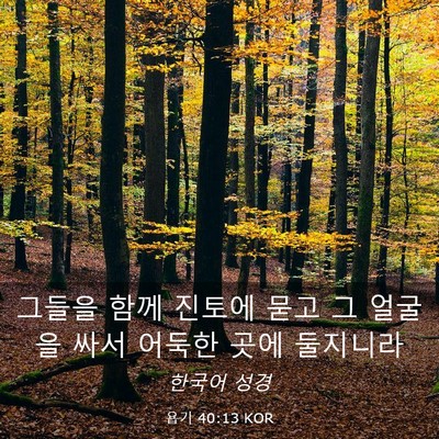 Picture 03 - 욥기 40:13 KOR - 그들을 함께 진토에 묻고 그 얼굴을 - Bible Verse Picture
