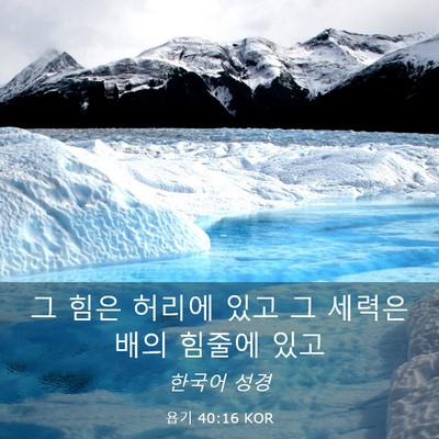 Picture 03 - 욥기 40:16 KOR - 그 힘은 허리에 있고 그 세력은 배의 - Bible Verse Picture