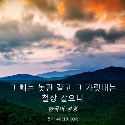 Picture 03 - 욥기 40:18 KOR - 그 뼈는 놋관 같고 그 가릿대는 철장 - Bible Verse Picture