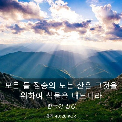 Picture 03 - 욥기 40:20 KOR - 모든 들 짐승의 노는 산은 그것을 - Bible Verse Picture