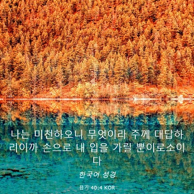 Picture 03 - 욥기 40:4 KOR - 나는 미천하오니 무엇이라 주께 - Bible Verse Picture