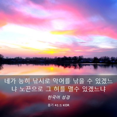 Picture 03 - 욥기 41:1 KOR - 네가 능히 낚시로 악어를 낚을 수 - Bible Verse Picture
