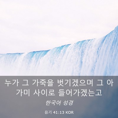 Picture 03 - 욥기 41:13 KOR - 누가 그 가죽을 벗기겠으며 그 - Bible Verse Picture
