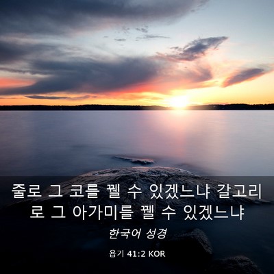 Picture 03 - 욥기 41:2 KOR - 줄로 그 코를 꿸 수 있겠느냐 - Bible Verse Picture