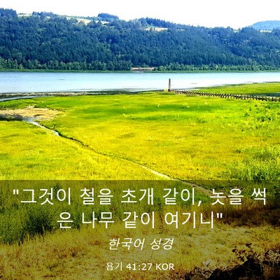 Picture 03 - 욥기 41:27 KOR - 