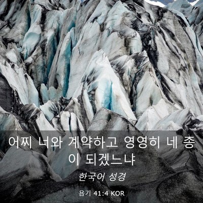 Picture 03 - 욥기 41:4 KOR - 어찌 너와 계약하고 영영히 네 종이 - Bible Verse Picture