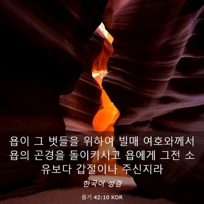 Picture 03 - 욥기 42:10 KOR - 욥이 그 벗들을 위하여 빌매 - Bible Verse Picture