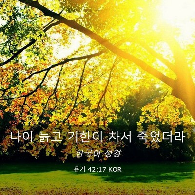 Picture 03 - 욥기 42:17 KOR - 나이 늙고 기한이 차서 - Bible Verse Picture