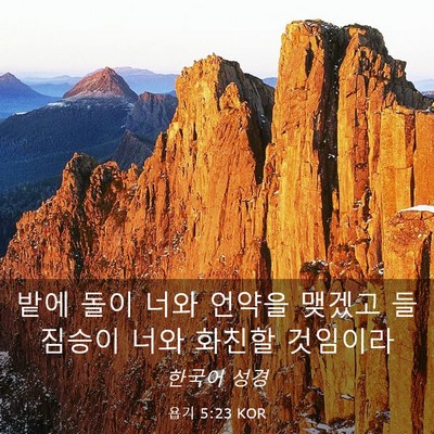 Picture 03 - 욥기 5:23 KOR - 밭에 돌이 너와 언약을 맺겠고 - Bible Verse Picture