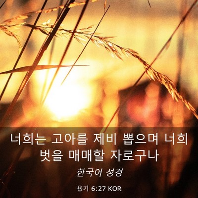 Picture 03 - 욥기 6:27 KOR - 너희는 고아를 제비 뽑으며 너희 - Bible Verse Picture