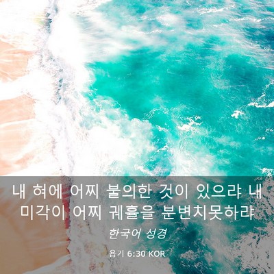 Picture 03 - 욥기 6:30 KOR - 내 혀에 어찌 불의한 것이 있으랴 내 - Bible Verse Picture