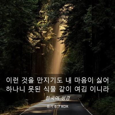 Picture 03 - 욥기 6:7 KOR - 이런 것을 만지기도 내 마음이 - Bible Verse Picture