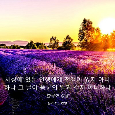 Picture 03 - 욥기 7:1 KOR - 세상에 있는 인생에게 전쟁이 있지 - Bible Verse Picture