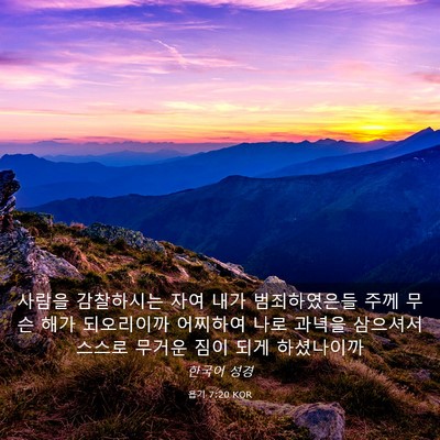 Picture 03 - 욥기 7:20 KOR - 사람을 감찰하시는 자여 내가 - Bible Verse Picture