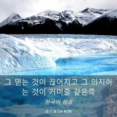 Picture 03 - 욥기 8:14 KOR - 그 믿는 것이 끊어지고 그 의지하는 - Bible Verse Picture