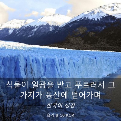 Picture 03 - 욥기 8:16 KOR - 식물이 일광을 받고 푸르러서 그 - Bible Verse Picture