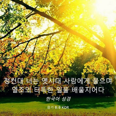 Picture 03 - 욥기 8:8 KOR - 청컨대 너는 옛시대 사람에게 물으며 - Bible Verse Picture