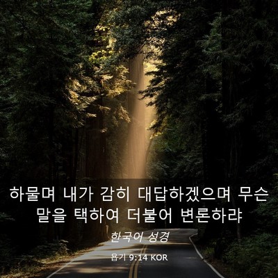 Picture 03 - 욥기 9:14 KOR - 하물며 내가 감히 대답하겠으며 무슨 - Bible Verse Picture
