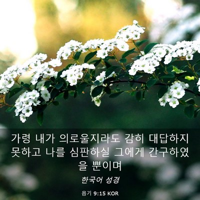 Picture 03 - 욥기 9:15 KOR - 가령 내가 의로울지라도 감히 - Bible Verse Picture