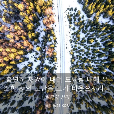 Picture 03 - 욥기 9:23 KOR - 홀연히 재앙이 내려 도륙될 때에 - Bible Verse Picture