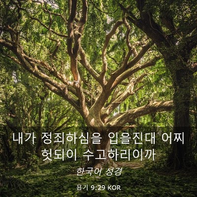 Picture 03 - 욥기 9:29 KOR - 내가 정죄하심을 입을진대 어찌 - Bible Verse Picture