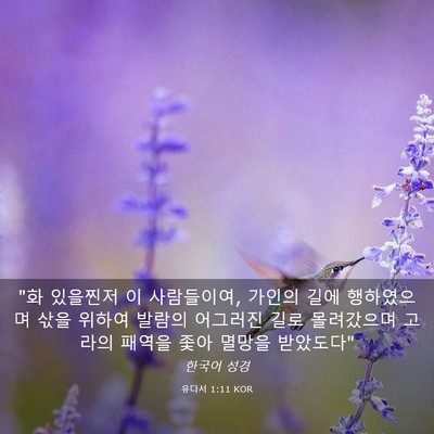 Picture 03 - 유다서 1:11 KOR - 