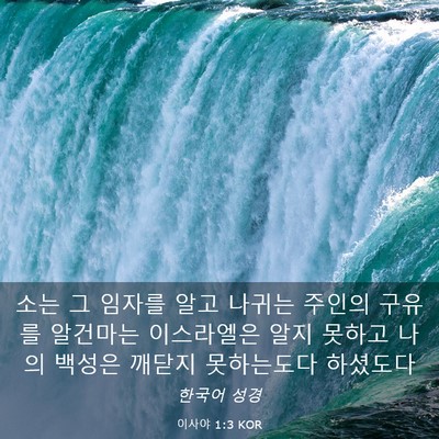 Picture 03 - 이사야 1:3 KOR - 소는 그 임자를 알고 나귀는 주인의 - Bible Verse Picture