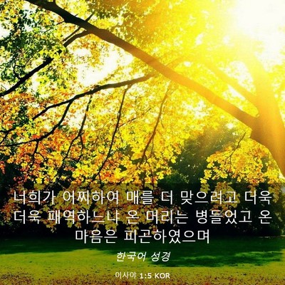 Picture 03 - 이사야 1:5 KOR - 너희가 어찌하여 매를 더 맞으려고 - Bible Verse Picture