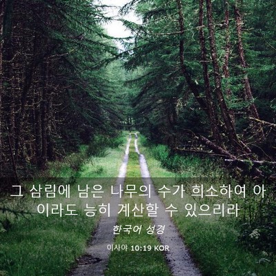 Picture 03 - 이사야 10:19 KOR - 그 삼림에 남은 나무의 수가 - Bible Verse Picture