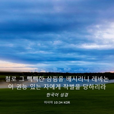 Picture 03 - 이사야 10:34 KOR - 철로 그 빽빽한 삼림을 베시리니 - Bible Verse Picture