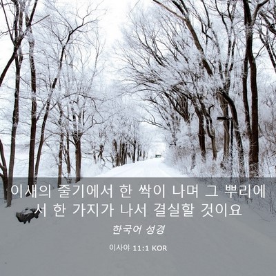 Picture 03 - 이사야 11:1 KOR - 이새의 줄기에서 한 싹이 나며 그 - Bible Verse Picture