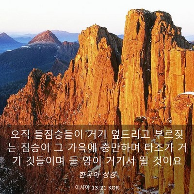 Picture 03 - 이사야 13:21 KOR - 오직 들짐승들이 거기 엎드리고 - Bible Verse Picture