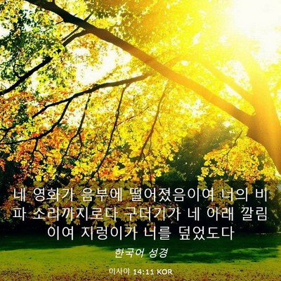 Picture 03 - 이사야 14:11 KOR - 네 영화가 음부에 떨어졌음이여 너의 - Bible Verse Picture