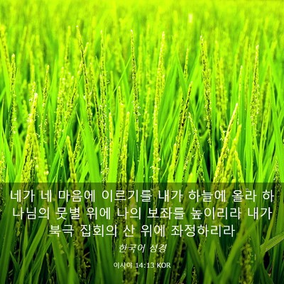 Picture 03 - 이사야 14:13 KOR - 네가 네 마음에 이르기를 내가 - Bible Verse Picture