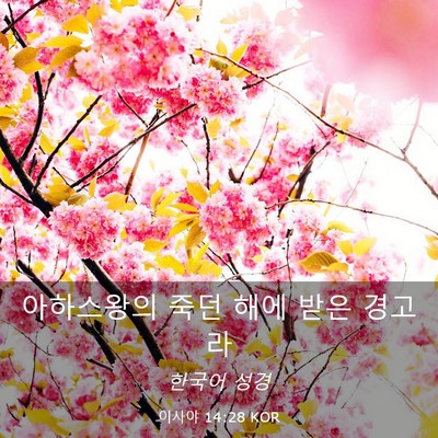 Picture 03 - 이사야 14:28 KOR - 아하스왕의 죽던 해에 받은 - Bible Verse Picture