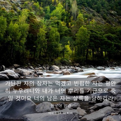 Picture 03 - 이사야 14:30 KOR - 가난한 자의 장자는 먹겠고 빈핍한 - Bible Verse Picture