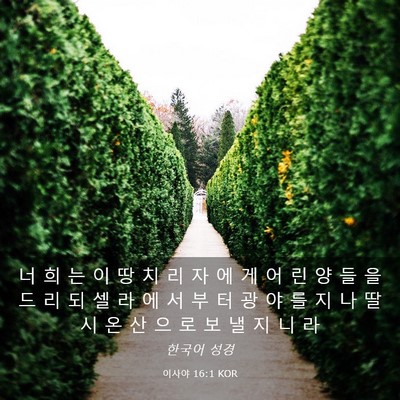 Picture 03 - 이사야 16:1 KOR - 너 희 는 이 땅 치 리 자 에 게 어 린 - Bible Verse Picture