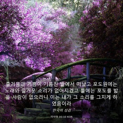 Picture 03 - 이사야 16:10 KOR - 즐거움과 기쁨이 기름진 밭에서 - Bible Verse Picture