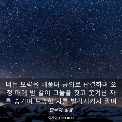 Picture 03 - 이사야 16:3 KOR - 너는 모략을 베풀며 공의로 판결하며 - Bible Verse Picture