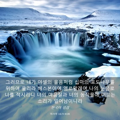 Picture 03 - 이사야 16:9 KOR - 그러므로 내가 야셀의 울음처럼 - Bible Verse Picture