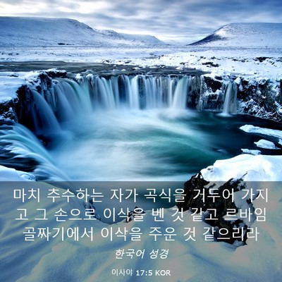 Picture 03 - 이사야 17:5 KOR - 마치 추수하는 자가 곡식을 거두어 - Bible Verse Picture