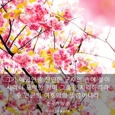 Picture 03 - 이사야 19:4 KOR - 그가 애굽인을 잔인한 군주의 손에 - Bible Verse Picture