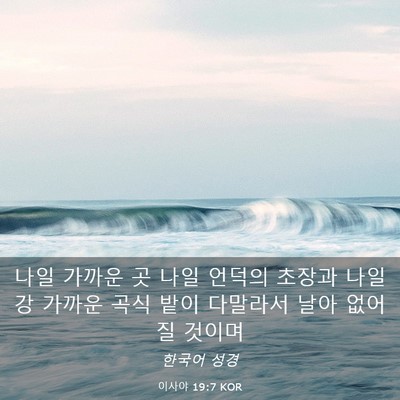 Picture 03 - 이사야 19:7 KOR - 나일 가까운 곳 나일 언덕의 초장과 - Bible Verse Picture