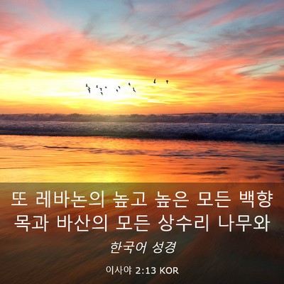 Picture 03 - 이사야 2:13 KOR - 또 레바논의 높고 높은 모든 - Bible Verse Picture