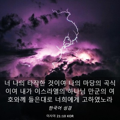 Picture 03 - 이사야 21:10 KOR - 너 나의 타작한 것이여 나의 마당의 - Bible Verse Picture